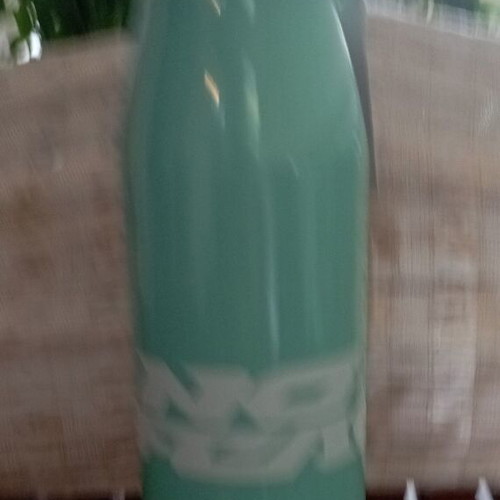 No Fear Generic stainless steel water bottle 600ml