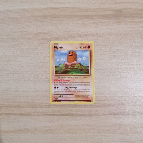 Pokémon Diglett Evolutions 2016 card new