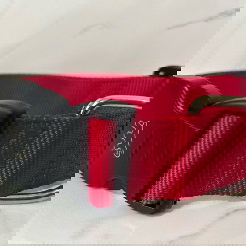 Немски нашийник нов за средни и едри породи