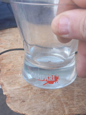 Campari glass used collectible