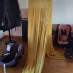 Mustard Mosquito Net used
