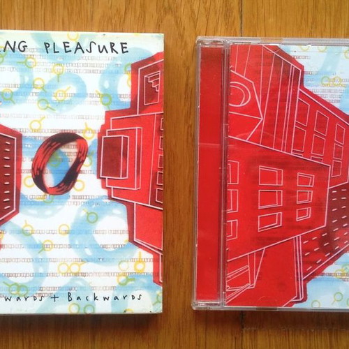Raining Pleasure Forwards and Backwards CD used, pop
