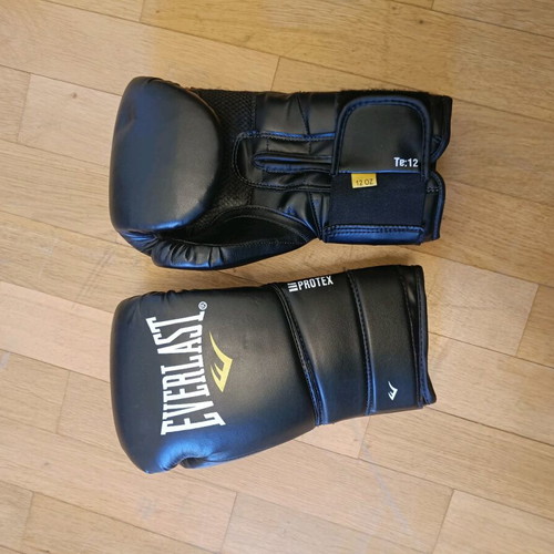 Everlast boxing gloves used, in very good condition
