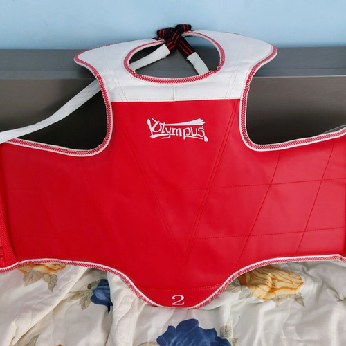 Chest protector like new