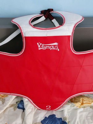 Chest protector like new