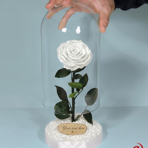 White Eternal Rose in Large Glass Dome made to order