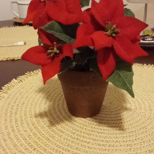 Decorative flowerpot like new