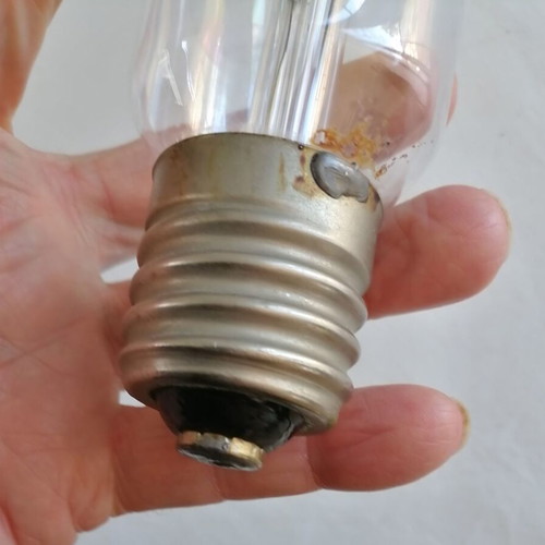 Incandescent light bulb used decorative large size