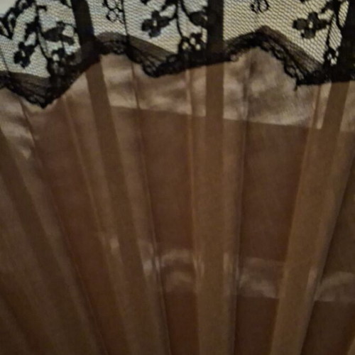 Bottega Veneta large fan with black lace and leather case
