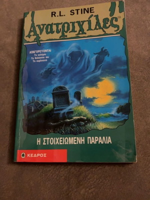 Goosebumps The Haunted Beach book like new