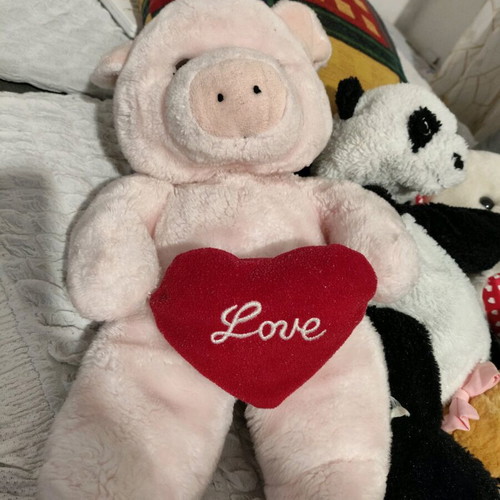 Stuffed toys used, pack of 6