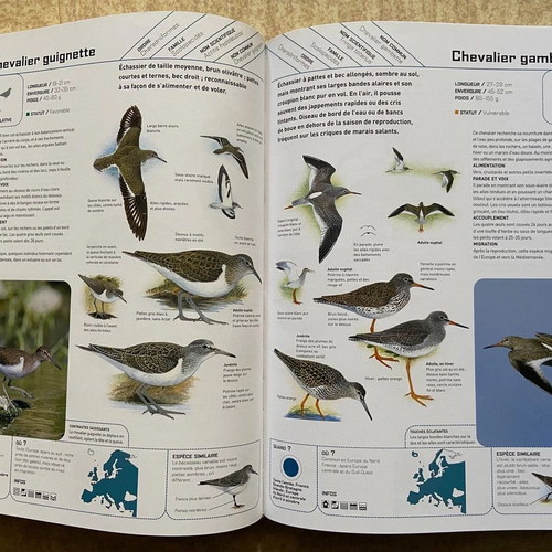 The Great Encyclopedia of European Birds Oiseaux like new, French
