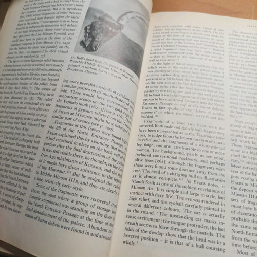 Book The Arts in Prehistoric Greece like new 1978