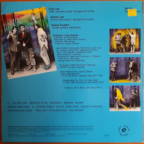 Cheepskates It Wings Above vinyl used, authentic German edition
