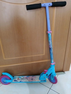 foldable scooter Frozeen