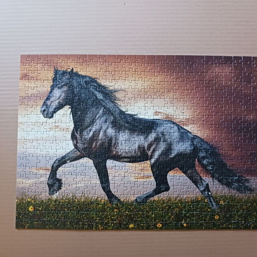 Trefl puzzles 2 pieces of 500 pieces like new