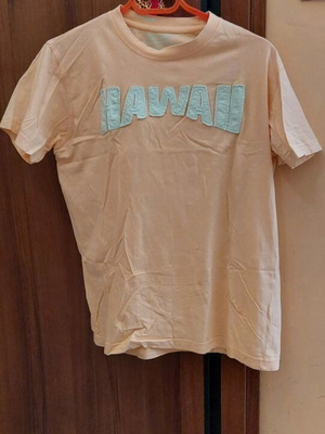 Men's t-shirt used, summer, cotton, size L