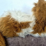 FurReal Friends Lulu My Cuddlin' Kitty Hasbro used, non-working