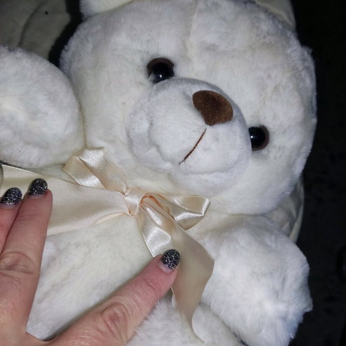 Stuffed teddy bear used