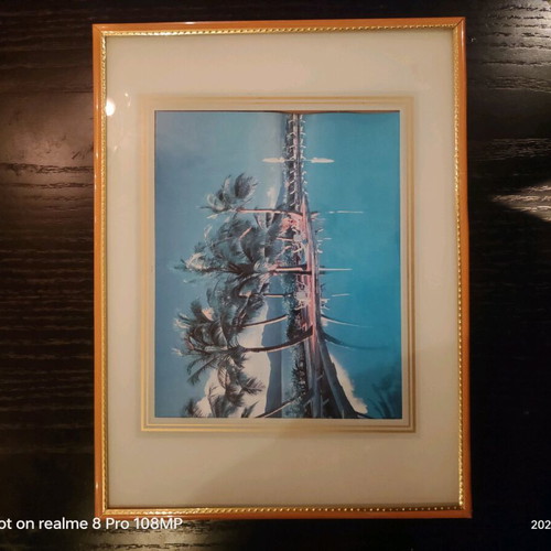 Wall frame used 40x30 cm with plexiglass cover