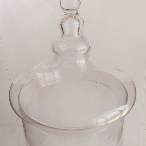 LARGE GLASS WITH LID