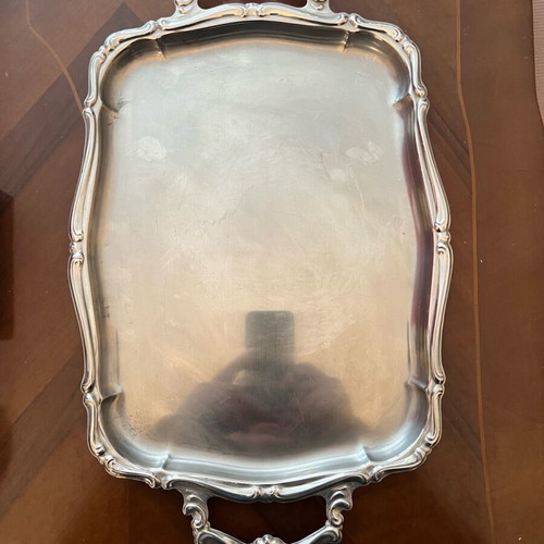 Stainless Steel Tray used