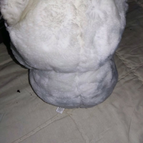 Stuffed teddy bear used