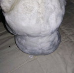 Stuffed teddy bear used