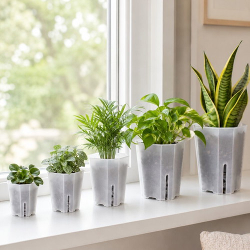 Transparent hard flowerpot in 5 sizes XL 15cm new