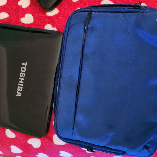 Toshiba NB200 netbook with bag and wireless mouse