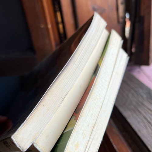 4 1/2 Filoi books like new, set of 4