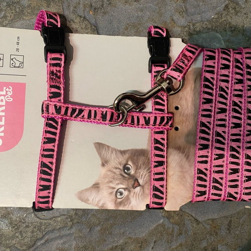 Cat collar with harness leash new
