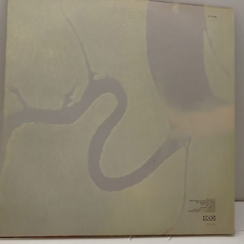 Dead Can Dance The Serpent's Egg Vinyl LP 1988 near mint electronic