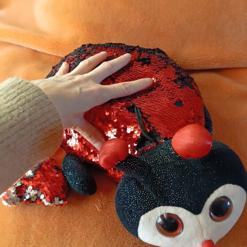 Ladybug with sequins used, with heart