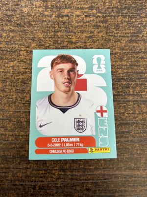 Cole Palmer Panini Sticker new