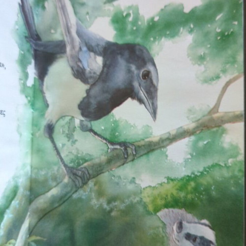 The Adventure of the Little Badger book like new, Greek edition 1997