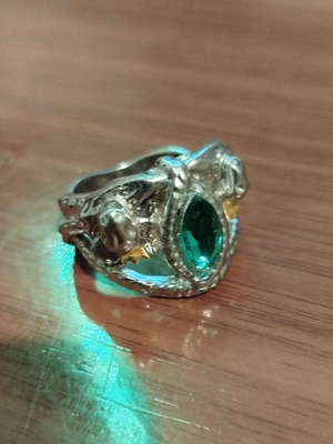 Aragorn ring used, Lord of the Rings