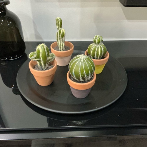 Set of 4 decorative cacti in small pots like new