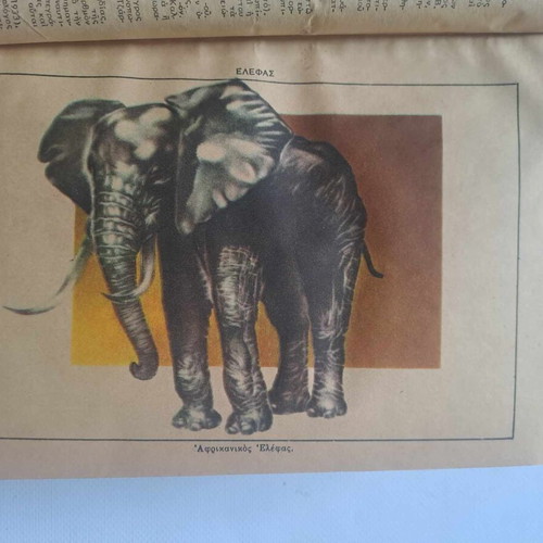 Epitomon Orthografikon kai Egkyklopaideikon Lexikon Iliou used, volume 2 K-O