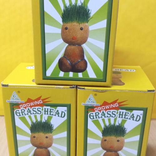 Grass Head Set of 3 New Growing Grasshead Toys