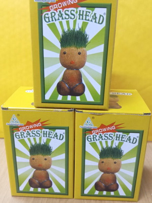 Φυτρούλης Σετ 3 Καινούργια Growing Grasshead παιχνίδια
