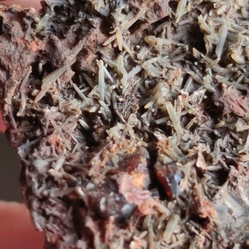 Prasios with garnet new, unique specimen