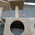 Cat toy new