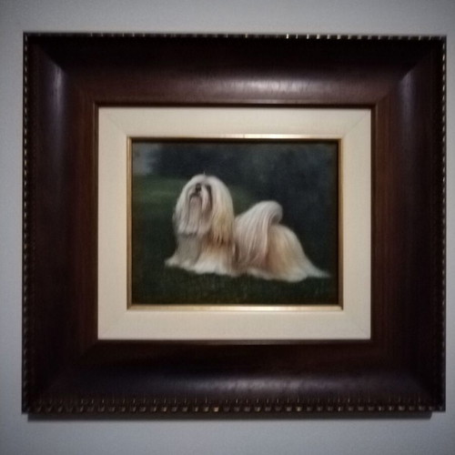 Dog paintings like new, set of 3 with Italian frame