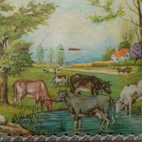 Photo album 1940 used with lithograph of rural life