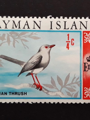 Γραμματόσημο Cayman Islands 1969 με τοπική σκηνή και πουλί Thrush σαν καινούργιο