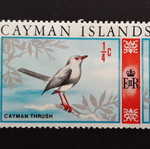 Γραμματόσημο Cayman Islands 1969 με τοπική σκηνή και πουλί Thrush σαν καινούργιο