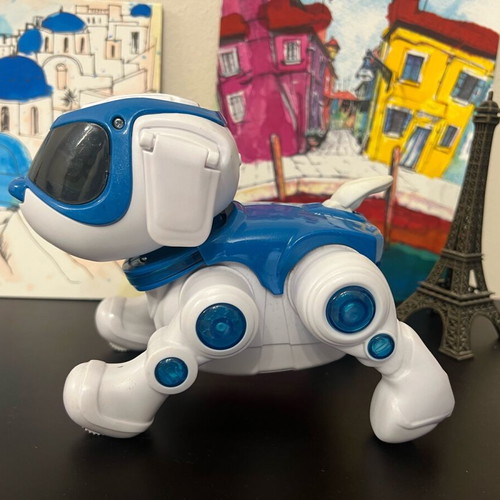 Teksta Remote Control Robot Dog 360 like new