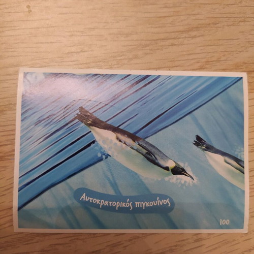 Collectible stickers Explore the Ocean new, 66 pieces