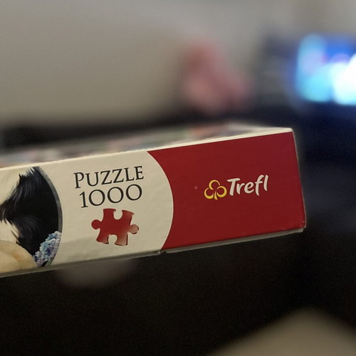 Trefl 1000-piece dog puzzle by Daniela Pirola